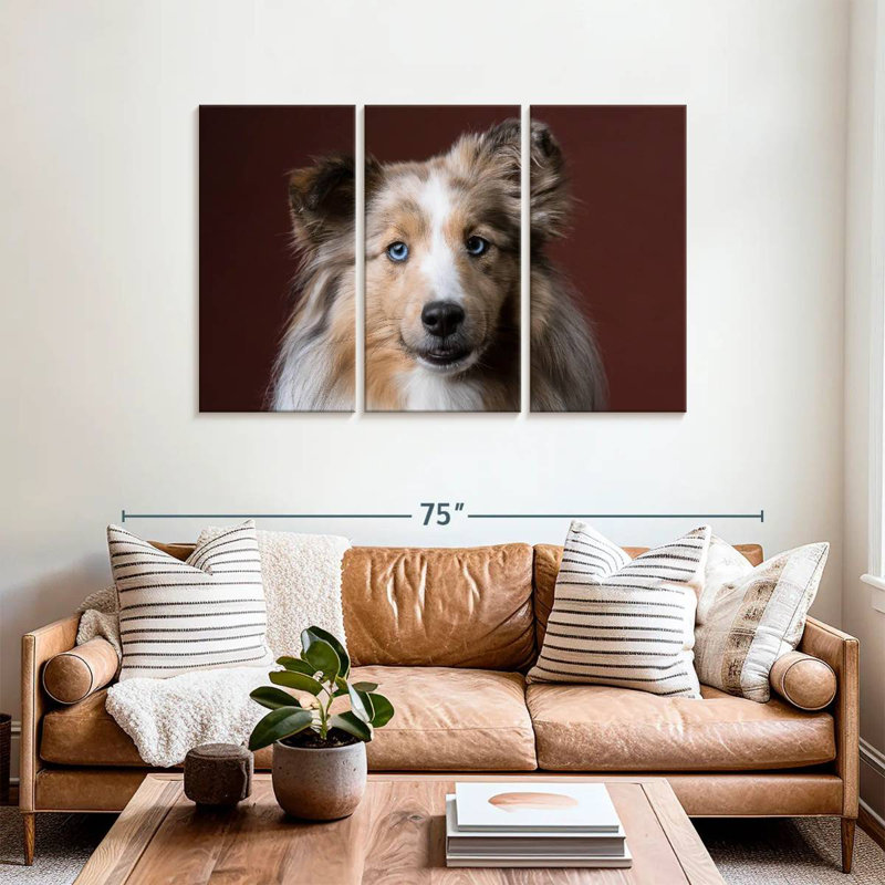 Adorable Sheltie Dog, 48" H x 74" W