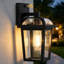 Black Plug-in Outdoor Sconce