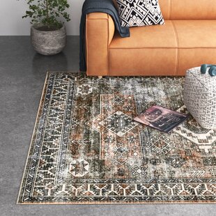 Katia Southwestern Machine Washable Indoor/Outdoor Area Rug – Ashley Area  Rugs