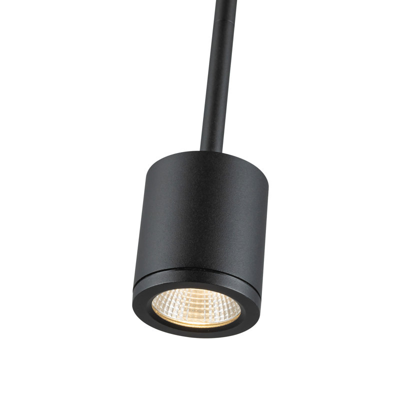Luminaire suspendu extérieur noir Nordic DEL 3 po (2 po de diamètre), Noir