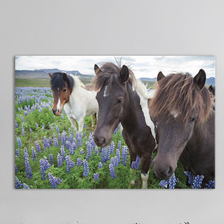 Trois chevaux dans une prairie, par Gareth McCormack, impression sur toile tendue sur châssis, H 18 po x l 26 po x P 1,5 po
