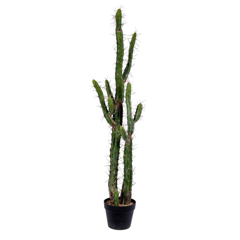 Cactus artificiel vert, pot de fleurs en plastique noir, H 46 po x l 6 po x P 6 po