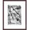 Drawing Studies of Arms Hands and Feet by Leonardo da Vinci -Framed Giclee Print