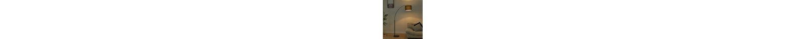 Jaskirit 70.9'' Powder Coated Arched Floor Lamp