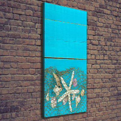 Shells And Starfish - Wrapped Canvas Print