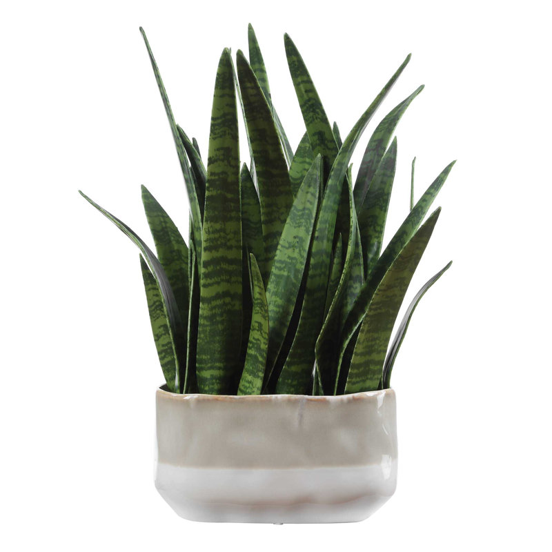 Uttermost Sansera Snake Accent Plant