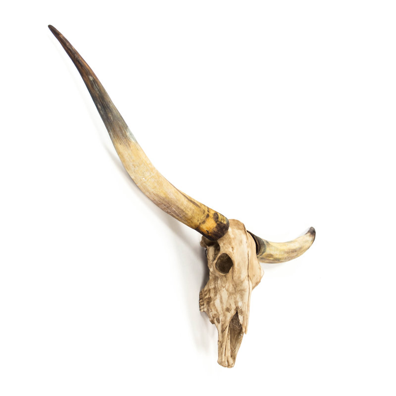 Bull Skull Handmade Rustic Landscape & Nature Wall Decor on Resin