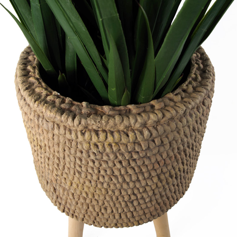 Cachepot