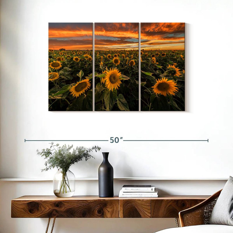 Alvord California Sunflower Field, 24" H x 38" W