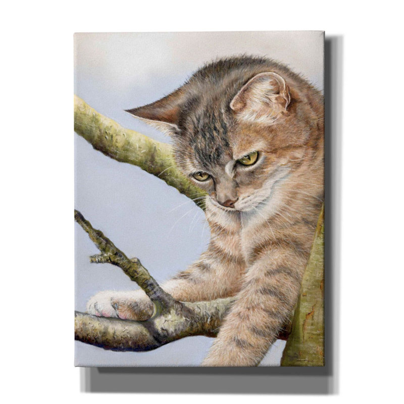 «Tabby In Tree On Canvas» par Janet Pidoux, H 16 po x l 12 po x P 0,75 po