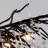 Kalthum 13-Light Modern Tree Branch Crystal Chandelier for Dining Room-1042945250