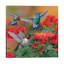 Hummingbirds & Flowers by William Vanderdasson - Wrapped Canvas Print-2060059239
