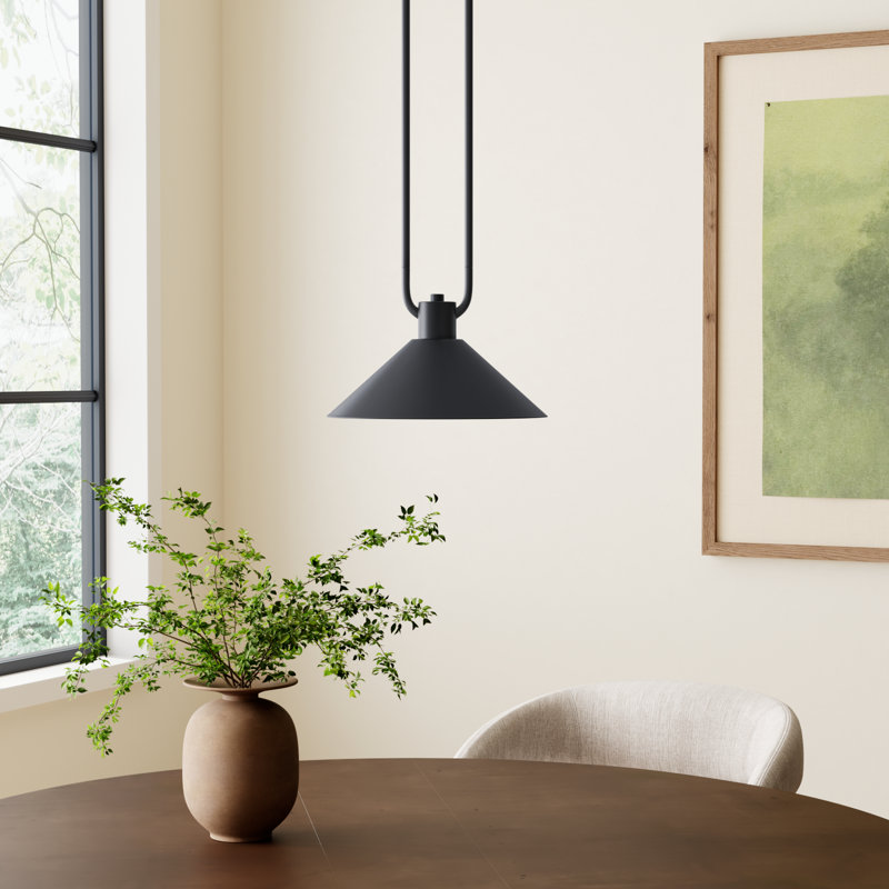 Fayra Industrial Pendant, Black, 10.25" H x 12" W x 12" D