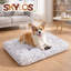 Polyester Pet Bed-850105402