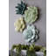 Compactum Succulent Wall Art-191860760