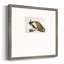 Peackock Plumagepremium, reproduction encadrée-88464330-106152479