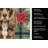 Chocolate Cocker Spaniel Christmas PoinsettIas Kitchen Towel-2080583860