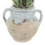 Snake Plant Arranged in Stone Vase