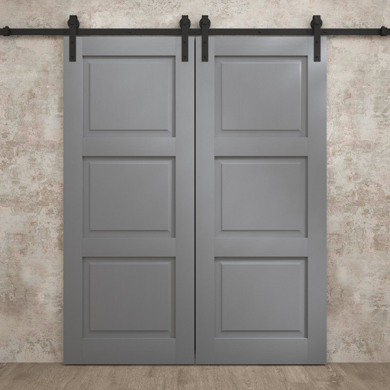 Porte de grange double moderne | Ego 5010 | Ensemble de rail | Portes intérieures solides, Chêne gris peint, 36 po x 80 po