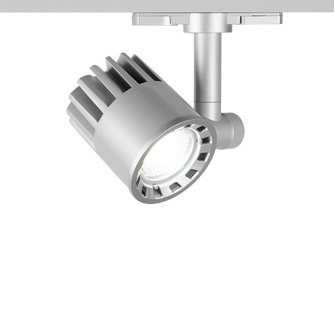 Exterminator Track Head, 40°, Platinum, 2700K
