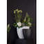 Elma Handmade Ceramic Table Vase-1283018991-1283018987