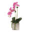 Real Touch Orchid Floral Arrangements in Pot