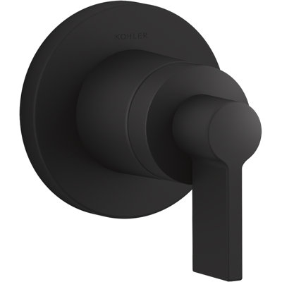Components Transfer Valve Trim with Lever Handle