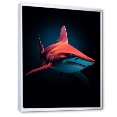 " Red Shark Photo Haven "