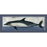 Antiqued Dolphin 1 Print