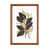 Papier avec cadre en bois classique Classic n'est pas disponible