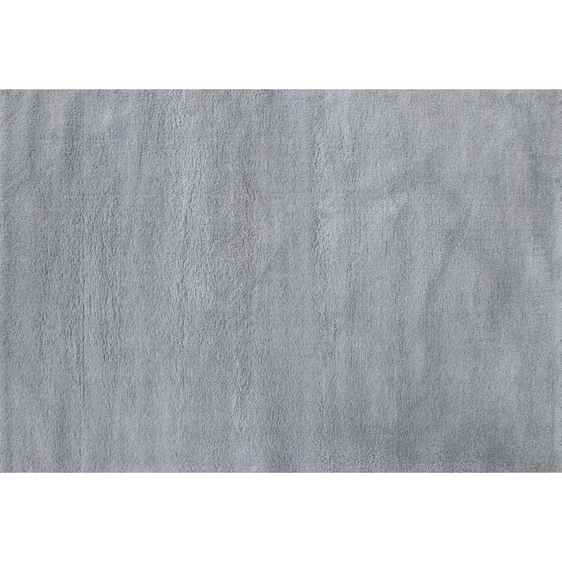 Stylish Hall Carpet, 100% Polyester, 31.5 x 59.1 inches | Machine Woven, 2.6 lbs/sq ft, 1.2 in Pile Height | Easy to Clean, Machine Washable at 86°F | Elegant Grey Color, Perfect for Entryways & Living Spaces