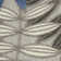 Eaglin Floral Indoor/Outdoor Area Rug