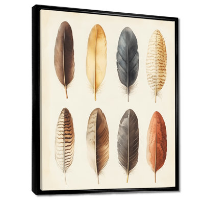 Plumes provenant du bureau du Naturaliste - Art mural encadré histoire naturelle