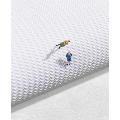 Geirlaugur Orthopedic Polyester Pet Bed