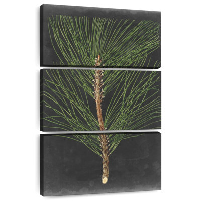 Dramatic Pine I