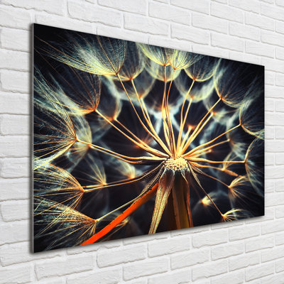 Dandelions - No Frame Print on Glass