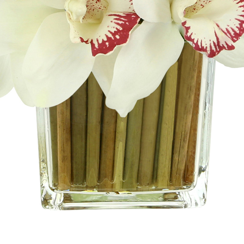 Orchids Arranged in Bamboo-Filled Glass Vase, White