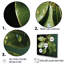 «Light Green Leaves», reproduction sur toile-2048706502-2048706505