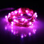 LED Indoor / Outdoor String Lights