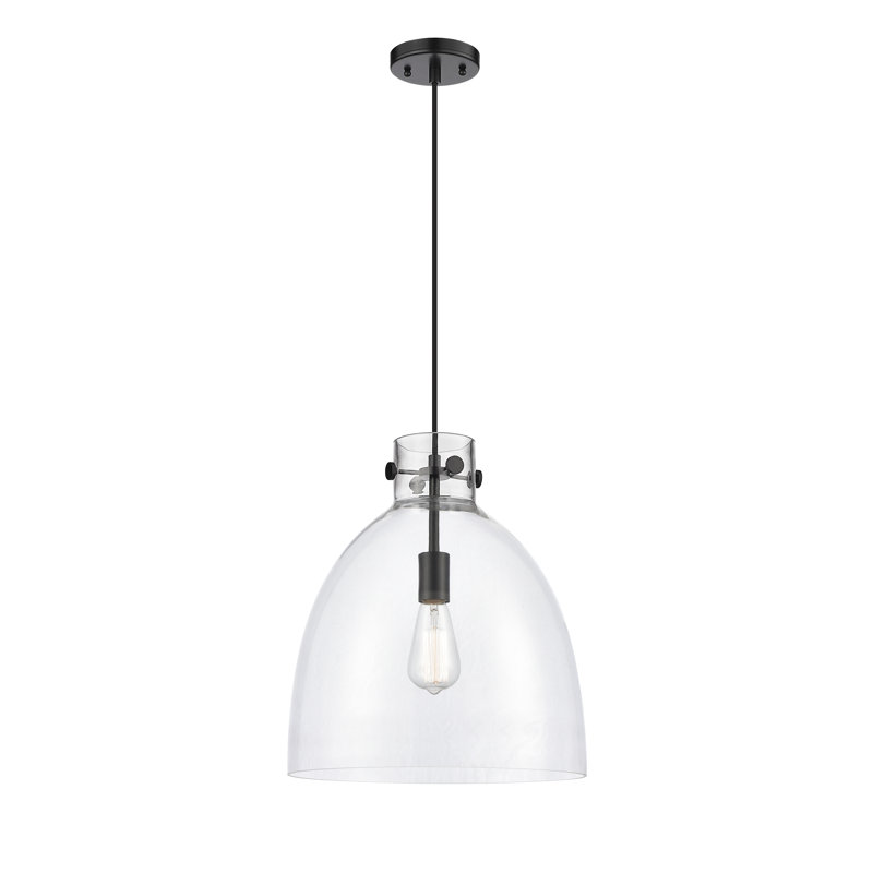 Luminaire suspendu à 1 lumière Badgett, Clair, Noir mat, H 16 po x l 14 po x P 14 po