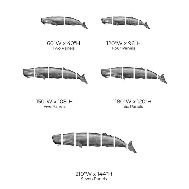 Murale pelez et collez de qualité supérieure - Illustration d'une baleine, L 60 po x L 40 po