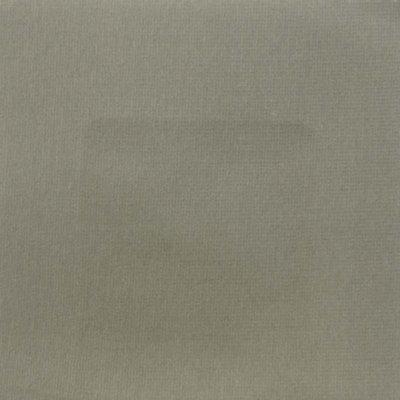 Velvet Performance Fabric By The Yard | 100% Cotton | Belgium