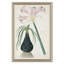 Belladonna Lily & Flower On A Passion Tree Giclee Print by Paul Cezanne