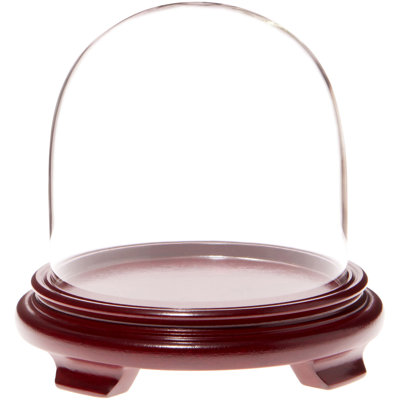 Keiarra 5.5" x 5.5" Glass Display Dome Cloche
