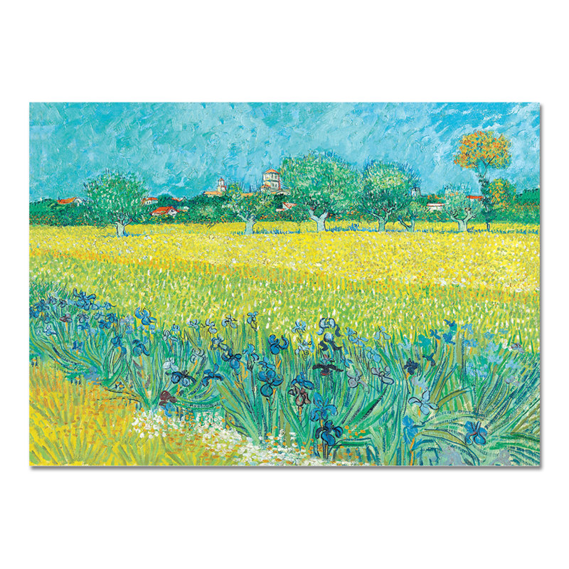 Field with Irises Near Arles by Vincent Van Gogh - Unframed Painting on Glass, 65cm H x 95cm W