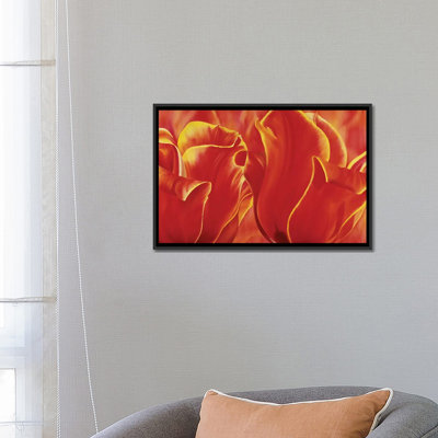 « party tulip ii », impression sur toile