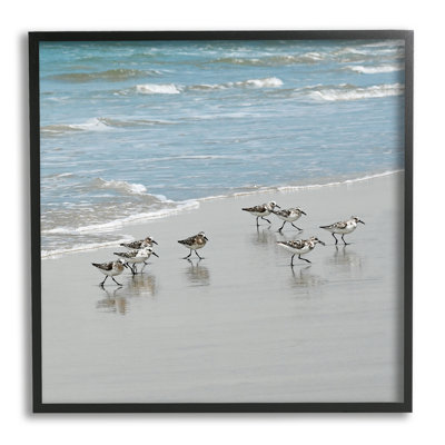 Au-402-Giclée sur fond de plage de sable