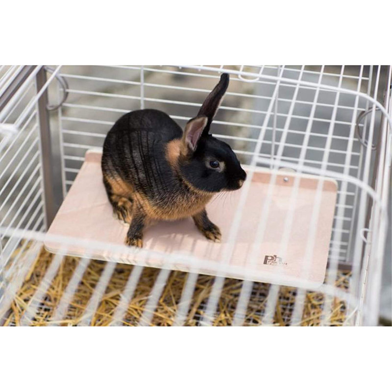 Étagère plateforme en bois Prevue Hendrix Pet PR03203