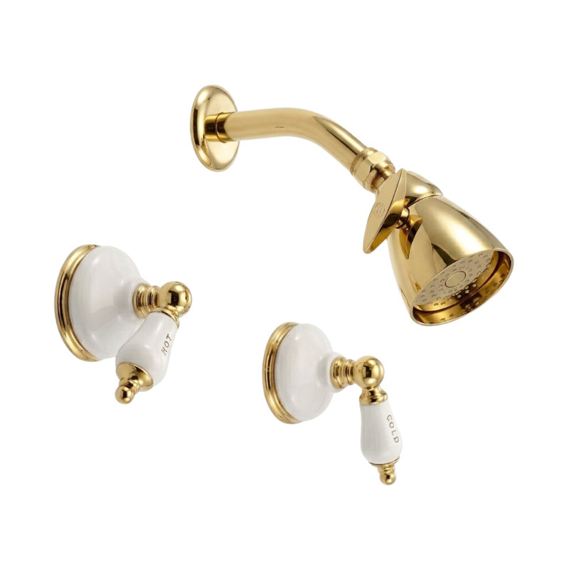 Ensemble de douche encastré avec écussons en porcelaine, poignées levier et pomme de douche Sacramento, Laiton poli