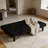 66Inch Velvet Futon Sofa Bed  3 Adjustable Positions Convertible Sleeper Bed, Modern Loveseat for Living Room, Bedroom-2113834716